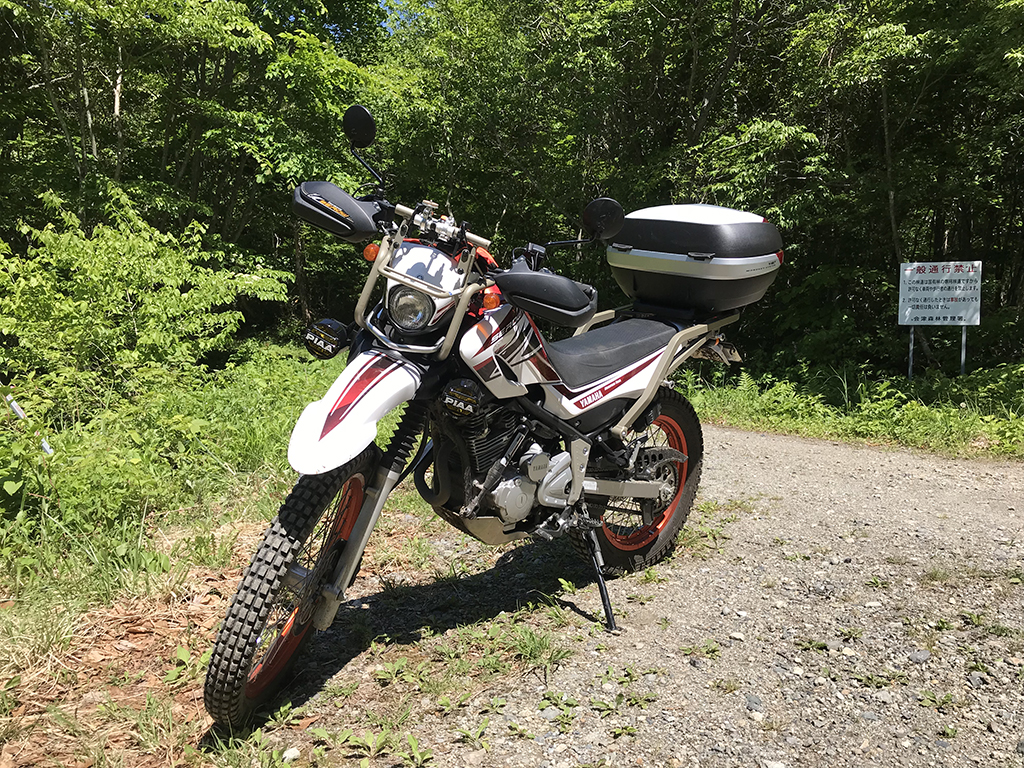 セロー250 いたかっ ワイズギア フォグライト PIAA